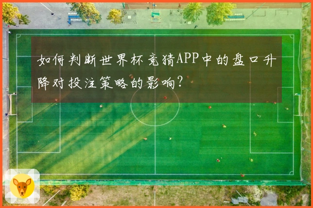 如何判断世界杯竞猜APP中的盘口升降对投注策略的影响？