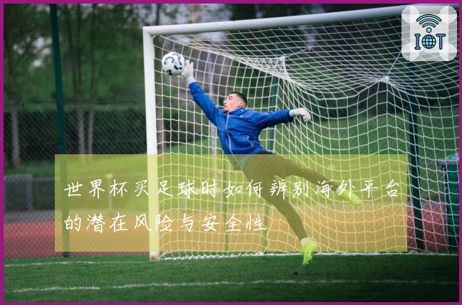 世界杯买足球时如何辨别海外平台的潜在风险与安全性