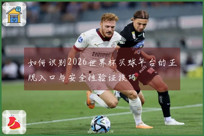 如何识别2026世界杯买球平台的正规入口与安全性验证技巧