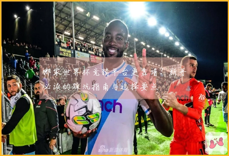哪家世界杯竞猜平台更靠谱？新手必读的踩坑指南与选择要点