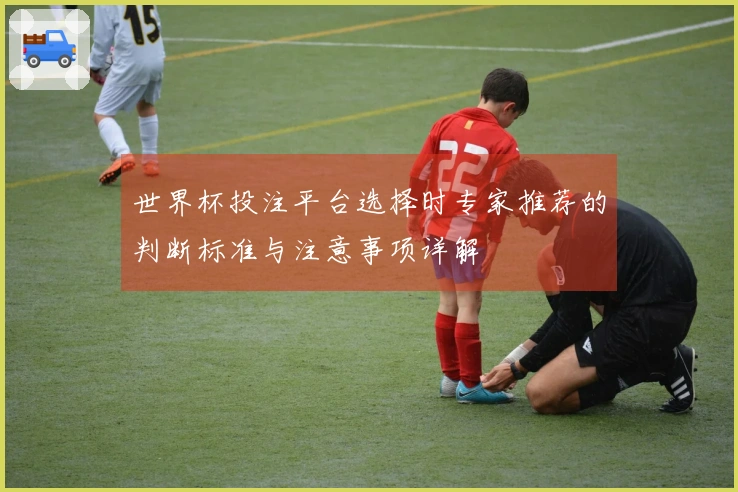 世界杯投注平台选择时专家推荐的判断标准与注意事项详解