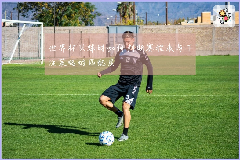 世界杯买球时如何判断赛程表与下注策略的匹配度
