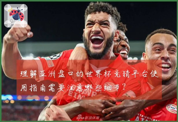 理解亚洲盘口的世界杯竞猜平台使用指南需要注意哪些细节？