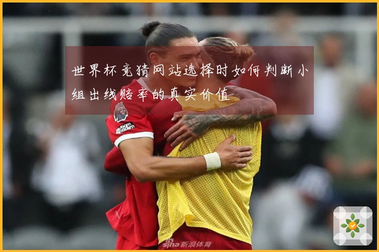 世界杯竞猜网站选择时如何判断小组出线赔率的真实价值