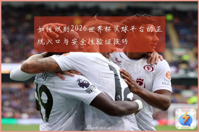 如何识别2026世界杯买球平台的正规入口与安全性验证技巧