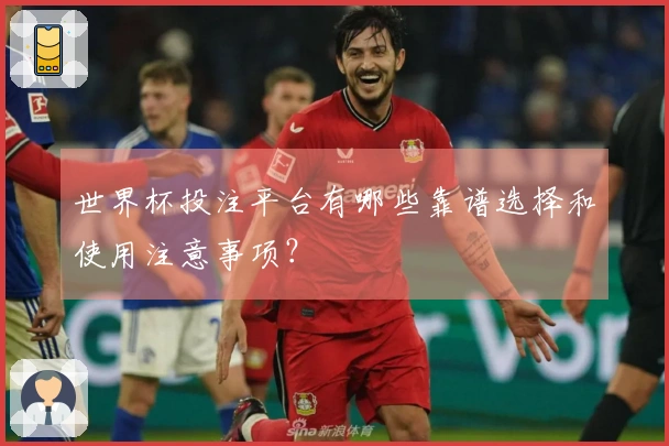 世界杯投注平台有哪些靠谱选择和使用注意事项？