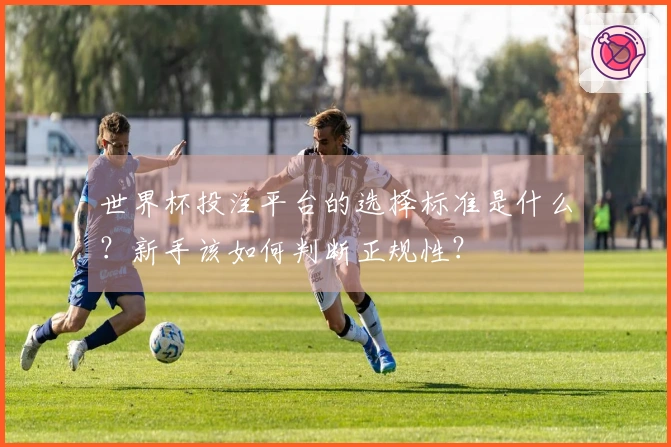 世界杯投注平台的选择标准是什么？新手该如何判断正规性？