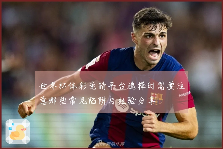 世界杯体彩竞猜平台选择时需要注意哪些常见陷阱与经验分享